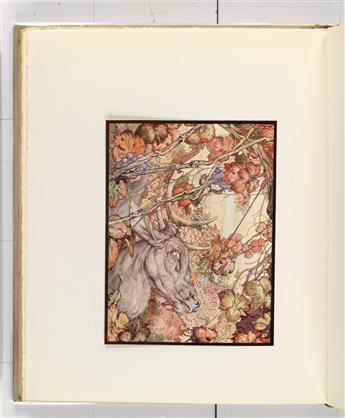 DETMOLD EDWARD J) Aesop The Fables of Aesop